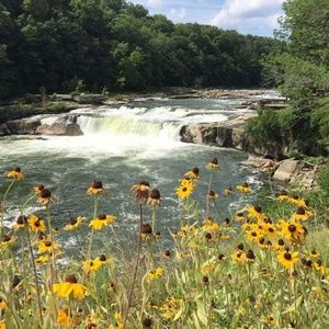 Meet your Posher, Bonnie